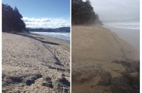 Orewa Beach, Cyclone Lusi 15032014