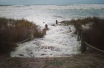 Kingtidesakl: Papamoa Domain walkway 26.03.2015