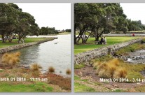 Manukau Harbour, King Tide 1 March 2014