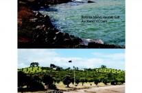 Rotoroa Island, King Tide 03032014