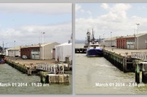 Manukau Harbour, King Tide 1 March 2014