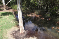 Kingtidesakl: Henderson Creek 26.03.2015