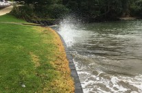Murrays Bay, King Tide 29.4.17