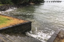 Murrays Bay, King Tide 29.4.17