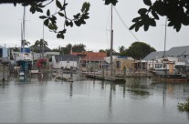Milford Marina, King Tide 3.2.18
