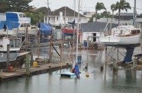 Milford Marina, King Tide 3.2.18