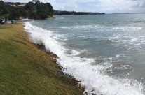 Rothesay Bay, King Tide 3.2.18