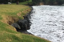 Rothesay Bay, King Tide 3.2.18