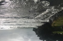 Rothesay Bay, King Tide 3.3.18