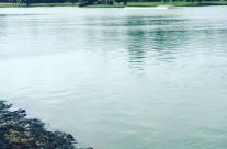 Onehunga, King Tide 3.3.18