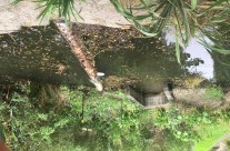 Rothesay Bay, King Tide 4.3.18