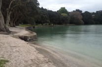 Howick Beach, King Tide 30.10.15