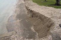 Howick Beach, King Tide 30.10.15