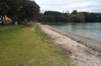 Cockle Bay, King Tide 30.10.15