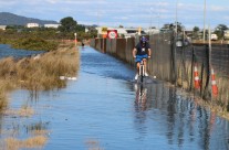 North Western Cycleway, Auckland King Tide 01022014