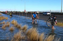 North Western, Auckland King Tide 02022014