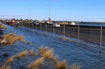 North Western, Auckland King Tide 02022014