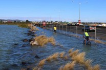 North Western, Auckland King Tide 02022014