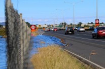 North Western, Auckland King Tide 02022014