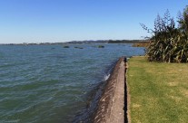 Harbourview Reserve, Te Atatu Peninsula, Auckland King Tide 02022014