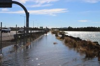 North Western, Auckland King Tide 02022014