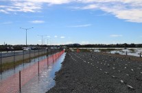 North Western, Auckland King Tide 02022014