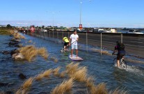 North Western, Auckland King Tide 02022014