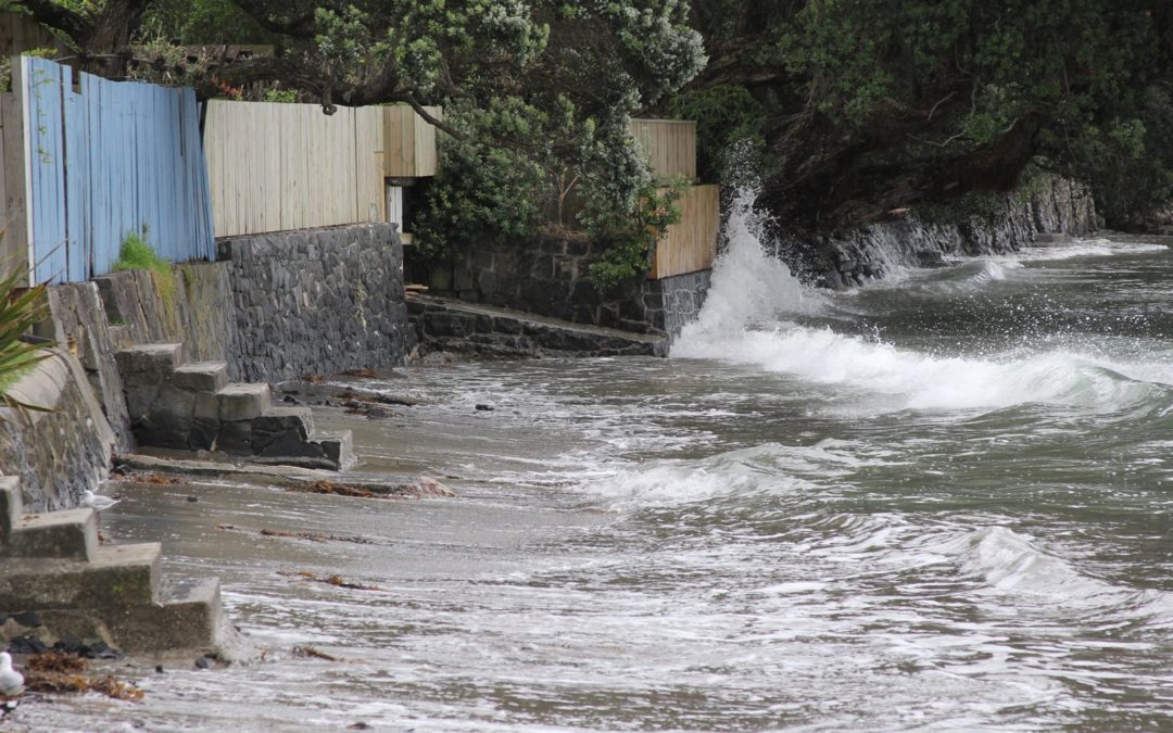 Thinking about our habitats and homes