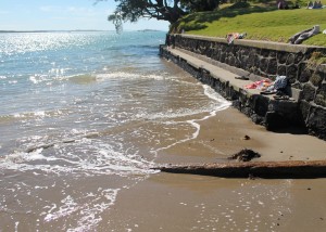 Sea Wall at Narrow Neck Beach, Auckland – an example of "Hard Engineering". Photo: Stephen McLuckie 