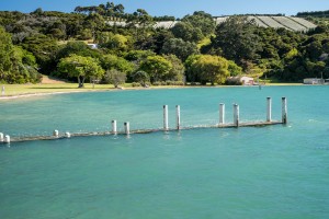 Orapiu jetty sinks below the King Tide at Orapiu, Waiheke Island, 02 February 2014. Photo Richard Wedekind