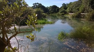 Sea level rise could permanently submerge wetlands, like this estuary at Cox's bay during the February King Tide. Image: 